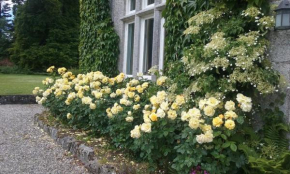 Courtyard Cottage, Carlow